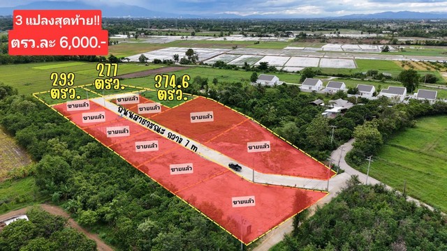 ขายที่ดิน277ว. 1.66ล. สาธารณูปโภค บวกค้าง สันกำแพง เชียงใหม่