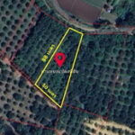 ที่ดิน สวนมะขามหวาน วิวเขาด้านหลัง ราคาถูก อ.หล่มสัก จ.เพชรบูรณ