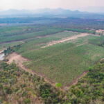 ที่ดินเปล่าแปลงใหญ่ อำเภอหนองหญ้าปล้อง จังหวัดเพชรบุรี