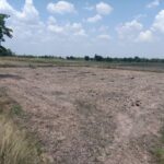 ขายที่ดินราคาถูก ติดถนน จ.ชัยภูมิ