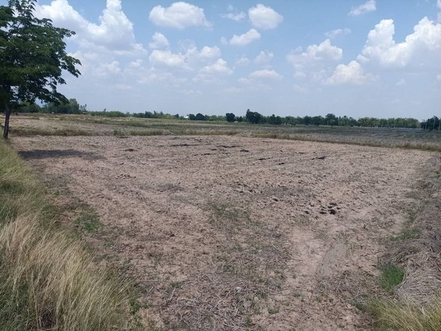 ขายที่ดินราคาถูก ติดถนน จ.ชัยภูมิ