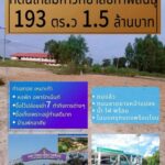 โอกาสทองที่ดิน 193 ตร.วา ทำเลเยี่ยมในจังหวัดกาฬสินธุ์