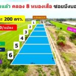 ที่ดินคลอง 8 ซอยบึงบอน 30/1 หนองเสือ 200 ตรว