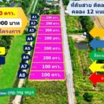 ที่ดินติดลาดยาง คลอง 12 หนองเสือ ทำเลทอง