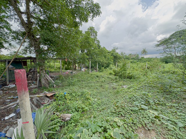 ที่ดินปากเกร็ด 85 ตร.วา ทำเลดี ราคาต่ำกว่าตลาด ปากเกร็ด นนทบุรี