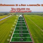 ที่ดินเกษตรบ้านสวน คลอง30 บ้านนา นครนายก