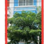 ให้เช่าและขาย อาคาร 4ชั้น ถนนคู้บอน บางเขน รีโนเวทแล้ว