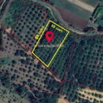 ขายที่ดิน อำเภอหล่มสัก จ.เพชรบูรณ์