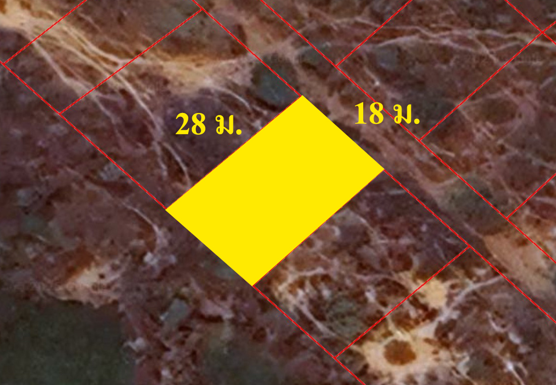 ขายที่ดินเปล่า 116 ตรว. ใกล้มหาวิทยาลัยศิลปากรวิทยาเขตเพชรบุรี