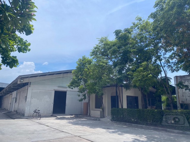 ให้เช่าโกดัง 250 และ 500 ตรม ซ.ห้วยกะปิ16 อ.เมือง ชลบุรี (จตุจัก