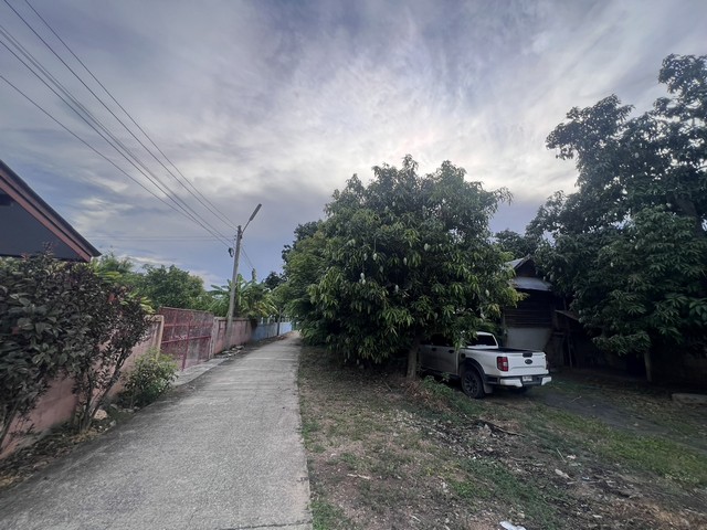 ขายที่ดิน เนื้อที่ 1 งาน 62 ตารางวา