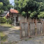 ขายบ้านเช่า3หลัง 1งาน 1.5ล. กู่แดง หนองแฝก สารภี เชียงใหม่