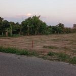 ขายที่ดิน 54ว. 378ส. ผ่อนได้ ใกล้วัดไร่ดง ขัวมุง สารภี เชียงใหม่