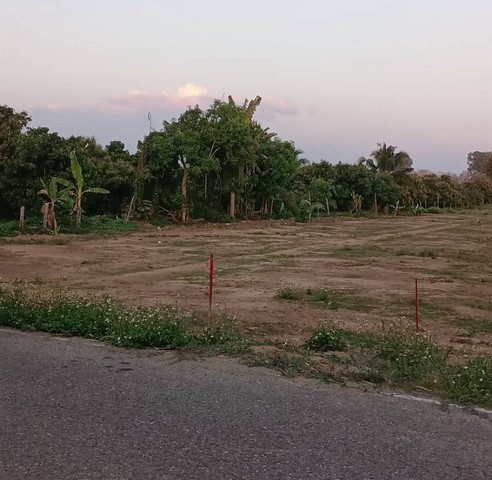 ขายที่ดิน 54ว. 378ส. ผ่อนได้ ใกล้วัดไร่ดง ขัวมุง สารภี เชียงใหม่