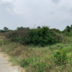 ขายที่ดินเปล่า 1-0-14 ไร่ อ.บางเสาธง จ.สมุทรปราการ