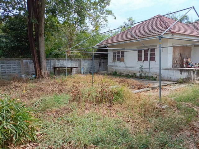 ขายที่ดินแถมบ้าน! ม.เลคไซด์ ลำลูกกา คลอง 9 ตำบลบึงทองหลาง