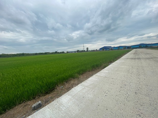 ขายที่ดิน 15-20 ไร่ หน้ากว้าง ผังม่วง อ.เมือง ฉะเชิงเทรา