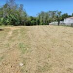 ที่ดินภูเก็ต 1-3-19 ไร่ โฉนด Sea View บ้านพารา