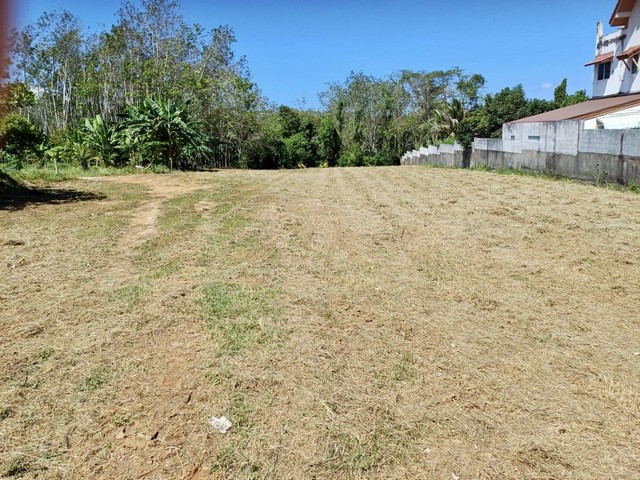 ที่ดินภูเก็ต 1-3-19 ไร่ โฉนด Sea View บ้านพารา