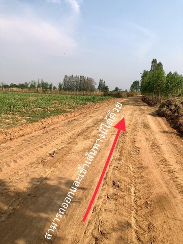 ขายที่ดินติดถนนสาธารณะ อำเภอปักธงชัย นครราชสีมา