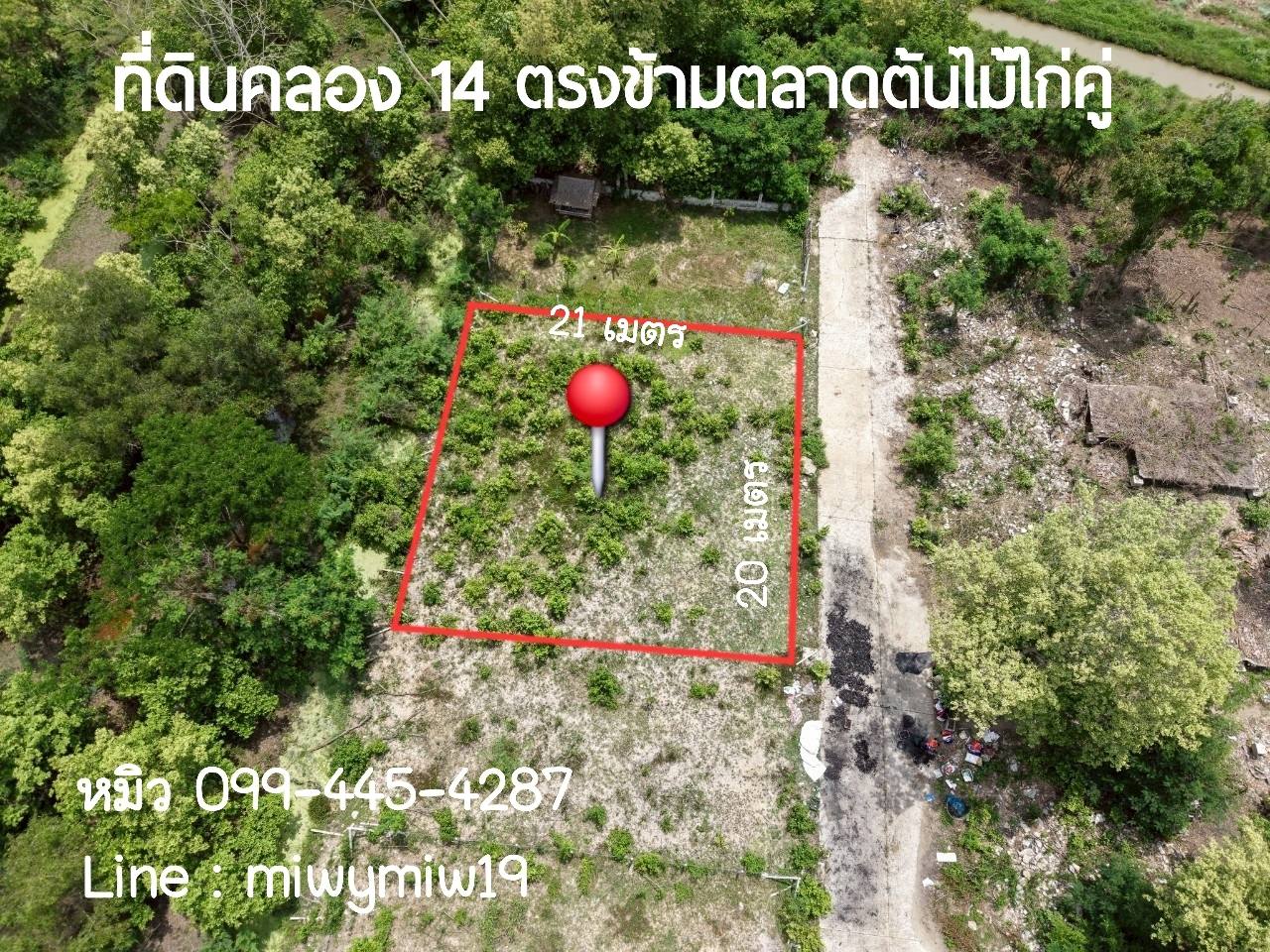 ขายที่ดิน คลอง 14 ธัญบุรี ปทุมธานี ตรงข้ามตลาดไก่คู่ 100วา ราคาถู