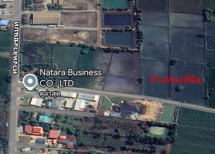 ขายที่ดินเปล่า ทำเลทอง ตำบลดอนทอง อำเภอพิษณุโลก จังหวัดพิษณุโลก