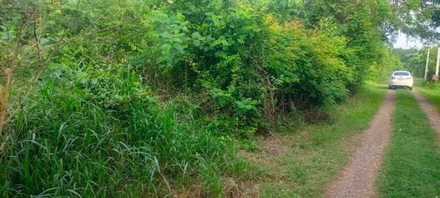 ขายที่ดินเปล่าทำเลดี พื้นที่ 193 ตรว. ต.โคกกรวด อ.เมือง จ.นครรา