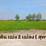 ขายที่ดิน เเบ่งเเปลงขาย ใกล้ตัวเมืองสุพรรณ น้ำไฟ พร้อม