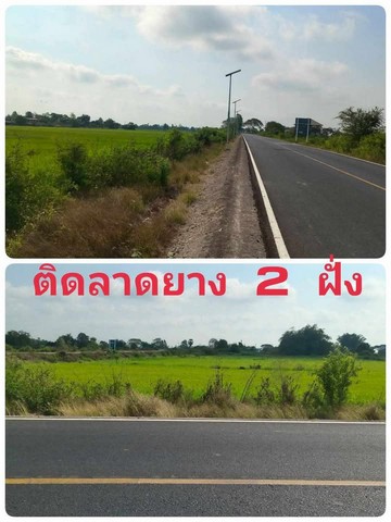 ขายที่ดินเปล่า หรือแบ่งแปลงขาย ใกล้มหาลัยสวนดุสิตสุพรรณบุรี