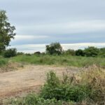 ขายที่ดินพร้อมถมแล้ว เนื้อที่ 7 ไร่ 88 ตรว