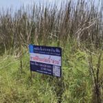 ขายที่ดินบึงน้ำรักษ์ เนื้อที่ 200 ตร.ว. คลอง 11