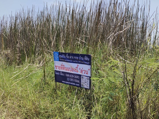 ขายที่ดินบึงน้ำรักษ์ เนื้อที่ 200 ตร.ว. คลอง 11