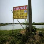 ขายที่ดิน 8-2-42 ไร่ ใกล้แก้มลิง โคกขาม สมุทรสาคร