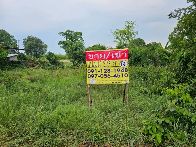 ขายด่วน ที่ดิน 98 วา ใกล้ร.ร.โคกสีพิทยาสรรค์ หนองตูม เมืองขอน