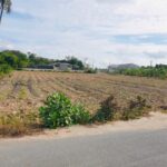 ขายที่ดิน 2 ไร่ ทุ่งละหาน ห้วยใหญ่ พัทยา ติดถนน 2 ด้าน