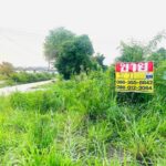 ขายที่ดิน 91 ตารางวา ซอยเทศบาล 10/2 บางเสร่ สัตหีบ ชลบุรี