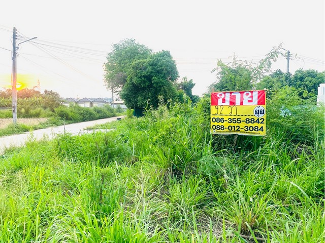 ขายที่ดิน 91 ตารางวา ซอยเทศบาล 10/2 บางเสร่ สัตหีบ ชลบุรี