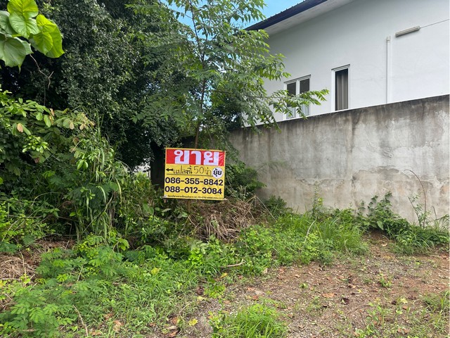 ขายที่ดิน 50ตารางวา ซอยวัดทุ่งโป่ง พลูตาหลวง สัตหีบ ชลบุรี