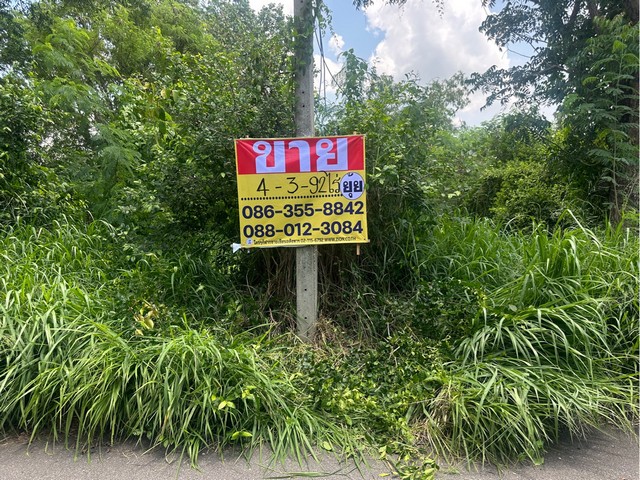 ขายที่ดิน 4-3-92 ไร่ หนองอิรุณ บ้านบึง ชลบุรี
