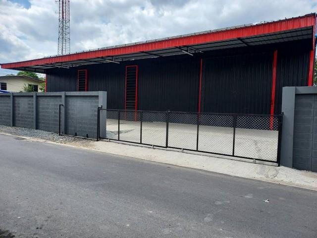 ให้เช่าโกดัง 133 ตรว 220 ตรม ซอยลาดพร้าว 101 ใกล้โยธินพัฒนา โพธิ์