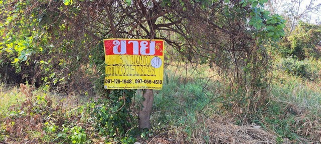 ขายด่วน ที่ดิน 360.5 ตารางวา ใกล้ห้วยหลัว ติดคำปุ่นคาเฟ่ เมืองชั