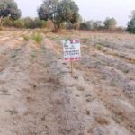 ขายไร่มันสำปะหลัง 11-3-20 ไร่ ดอยหล่อ เชียงใหม่