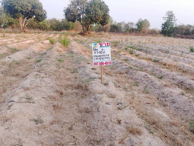 ขายไร่มันสำปะหลัง 11-3-20 ไร่ ดอยหล่อ เชียงใหม่