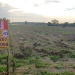 ขายที่ดินราคาถูก 10-0-0 ไร่ บ้านวังหนองแดง ว้ดโบสถ์ พิษณุโลก