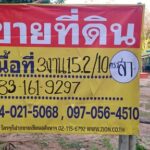 ขายที่ดิน พร้อมสิ่งปลูกสร้าง 305 วา บ้านดินทอง วังทอง พิษณุโลก