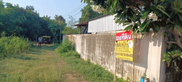 ขายที่ดิน 1-3-60 ไร่ ราคาถูก ในชุมชน บ้านกร่าง เมืองพิษณุโลก