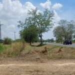 ขายที่ดินราคาถูก ติดถนนสายหลัก 8-2-0 ไร่ บ้านวัดตายม พิษณุโลก