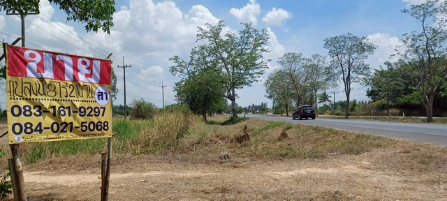 ขายที่ดินราคาถูก ติดถนนสายหลัก 8-2-0 ไร่ บ้านวัดตายม พิษณุโลก