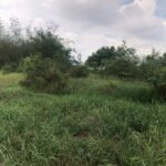 ขายที่ดินถมแล้ว 243 ตร.วา ทำเลดี ใกล้ตลาดบ้านแพนอำเภอเสนา อยุธ