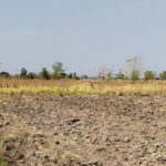 ขายด่วน ที่ดินทำเลทอง 4 – 1 – 43 ไร่ โคกสูง เมืองนครราชสีมา